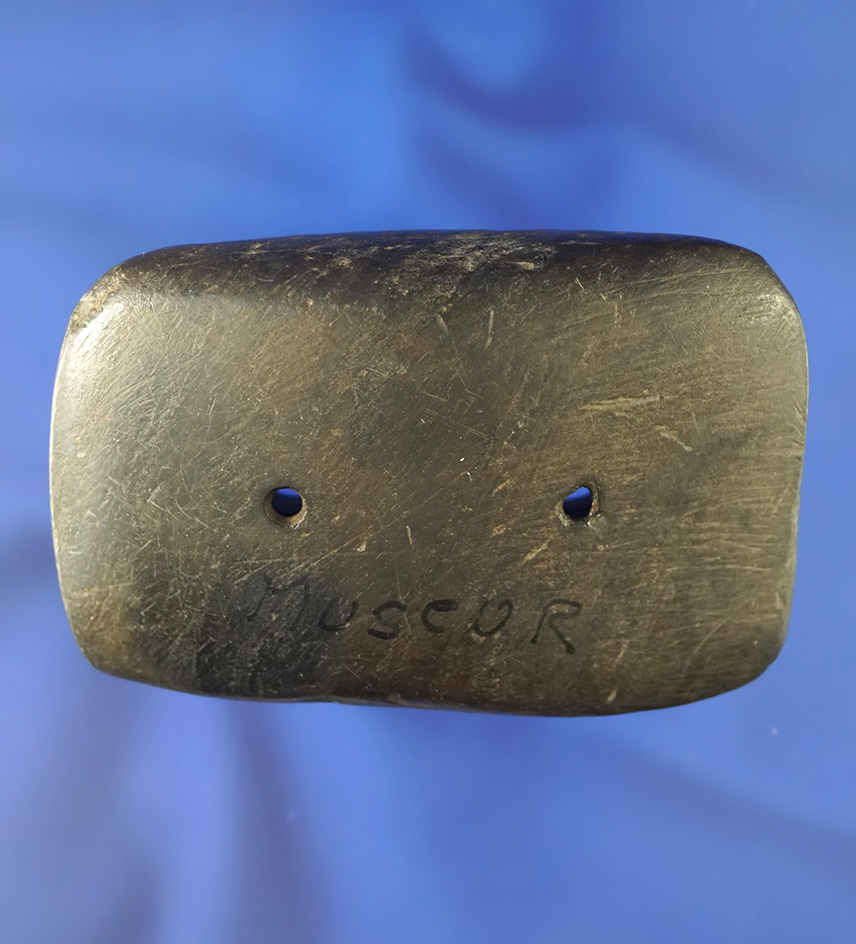 Ex. Meuser, Root collections! 3 3/4" Semi-Keeled  Gorget - Pickaway Co.,  Ohio.  Root #2869S.