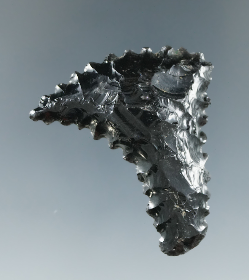 1 11/16" Stockton style serrated knife found in northern California.