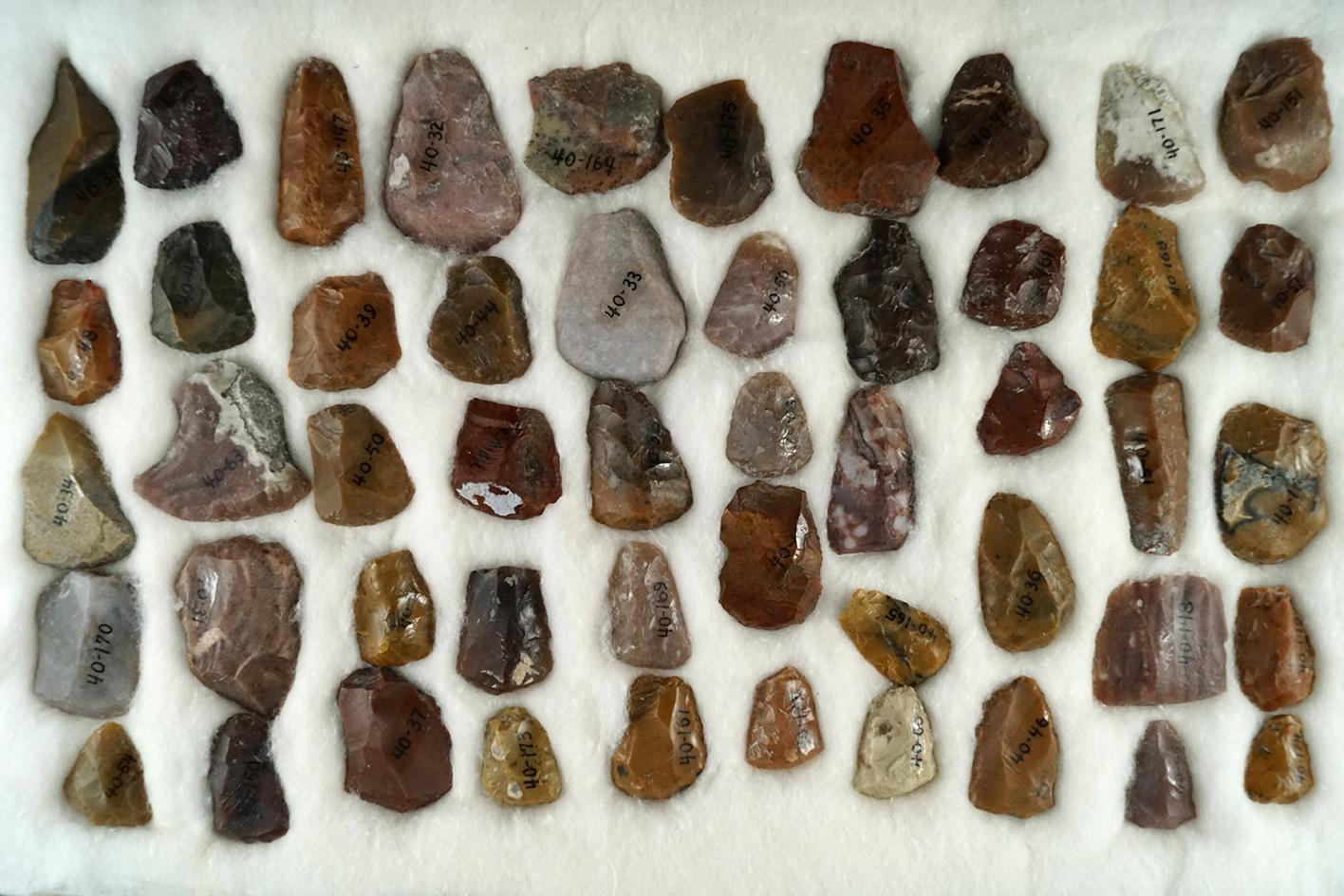 Large group of 50 Scrapers found at Signal Butte, Scotts Bluff County, South Dakota. Largest is 1 1/