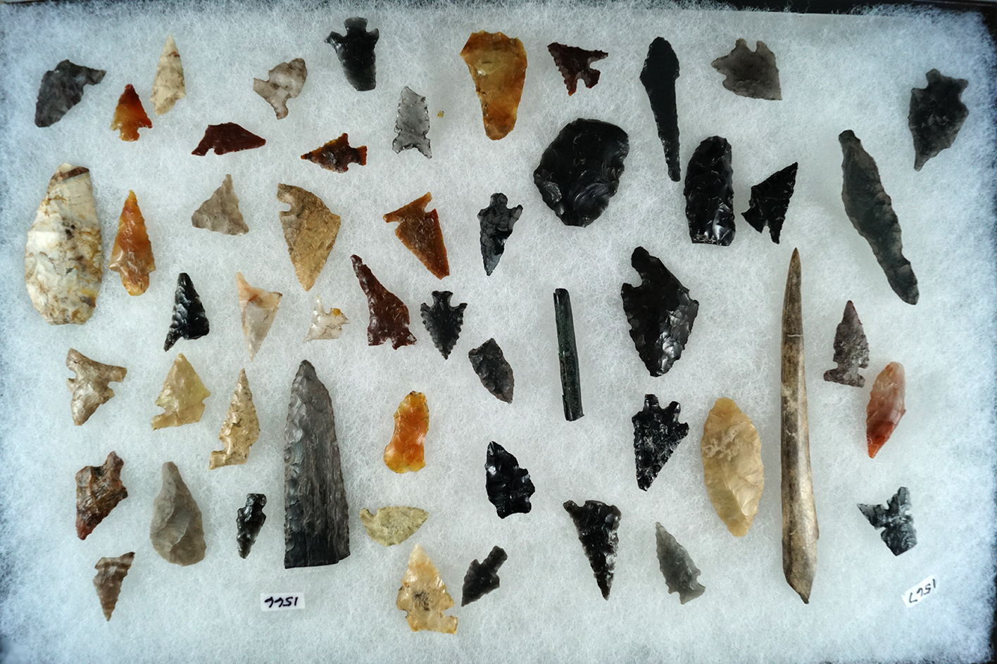 Large group of assorted artifacts found in Oregon and Washington.