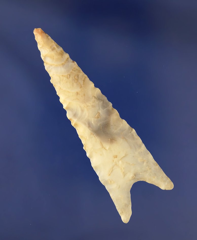 Sale highlight! Thin and classic style 3 1/8" Dalton found in Arkansas. Davis COA G-9.