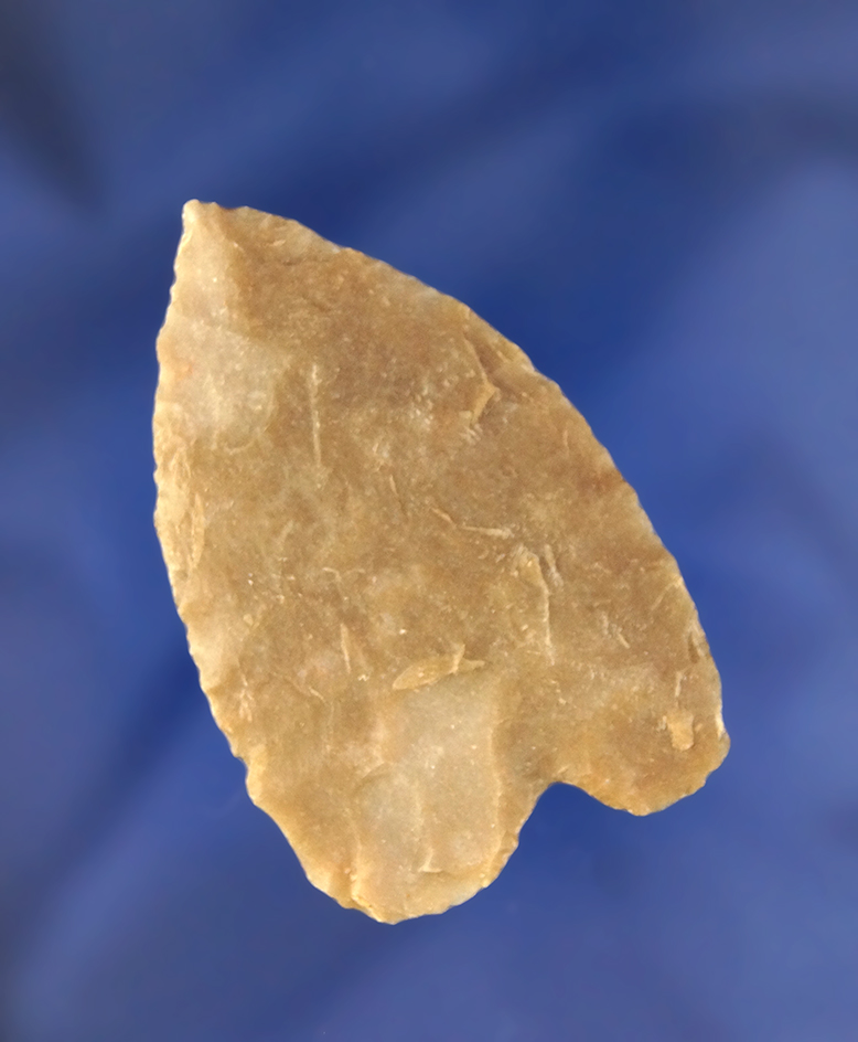 Very nicely flaked 2 5/16" Carrizo found in Texas.