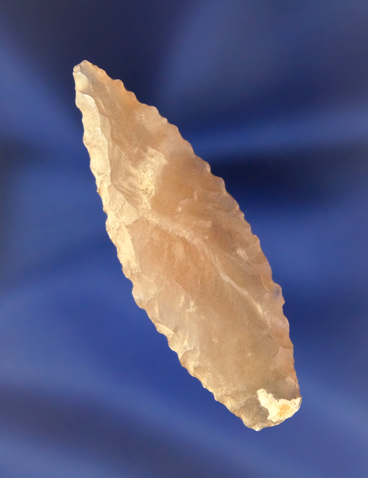 2 3/16" Translucent Serrated Leaf Point found in Wilson Co., Texas.