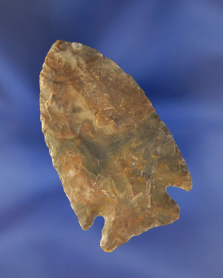 Thin and well styled 2 5/16" Cornernotch found in northern Alabama.