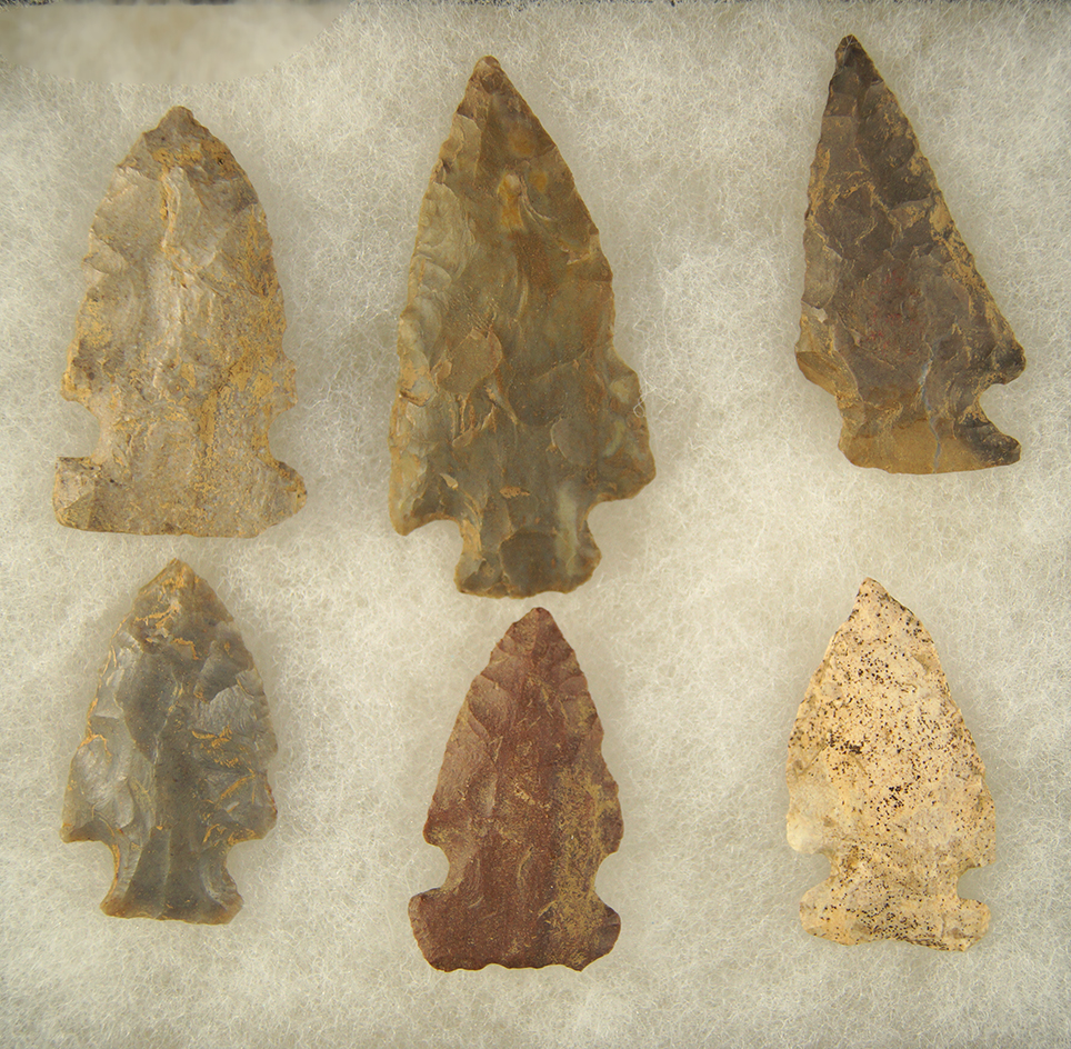Set of six Archaic Arrowheads, largest is 2 1/2". Found by Clifton Reeder near the Cumberland