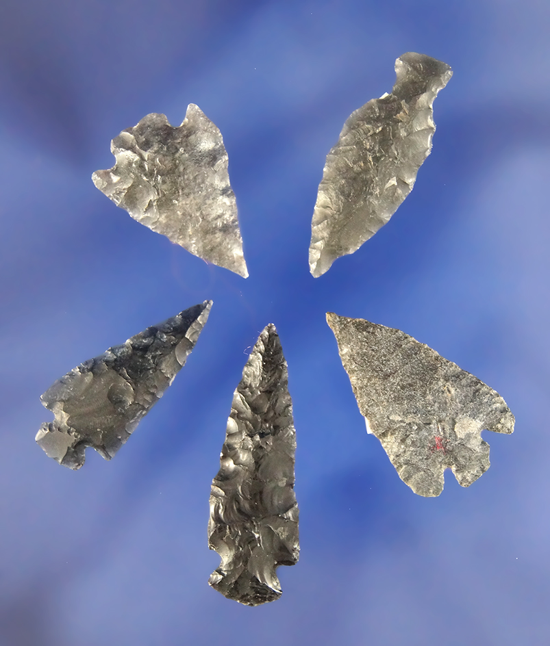 Set of five assorted Obsidian Arrowheads found in Nevada, largest is 1 1/16".