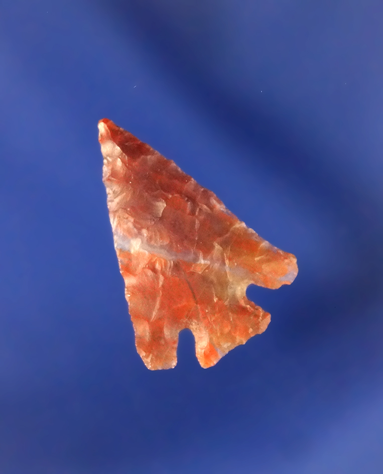 7/8" beautifully flaked Columbia Plateau that is thin - beautiful material found in Klickitat Co., W