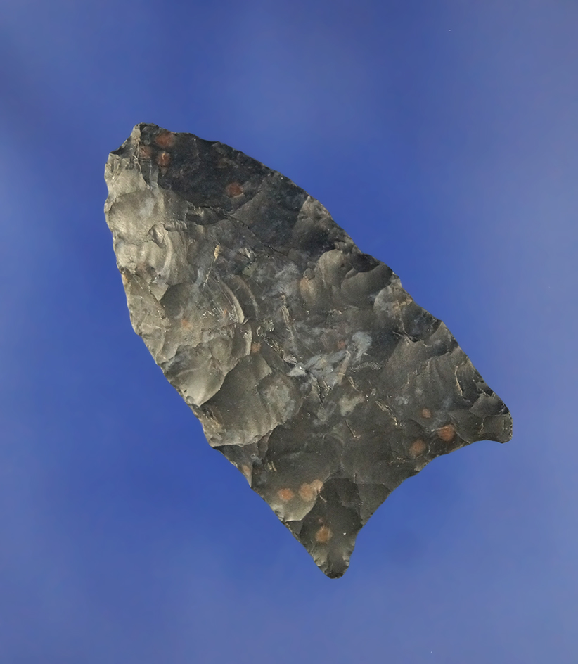 2" Unfluted Paleo Clovis. Found by Clifton Reeder near the Cumberland River near Creelsboro, KY