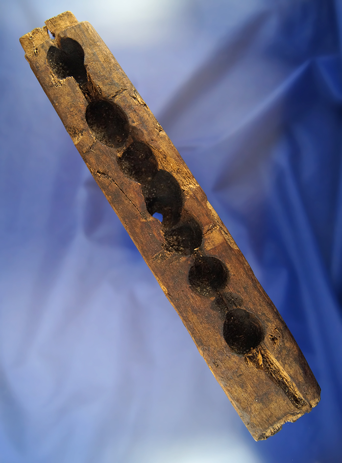 11" Alaskan driftwood firestarter found in St. Johns Island.