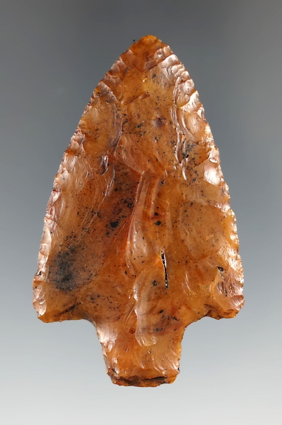 Beautiful River patina on this 2 9/16" Newnan point found in Alachua Co., Florida.