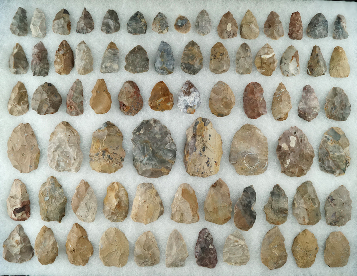 Large group of Pipe Creek chert preforms field found in north central Ohio. Largest is 2 3/8".