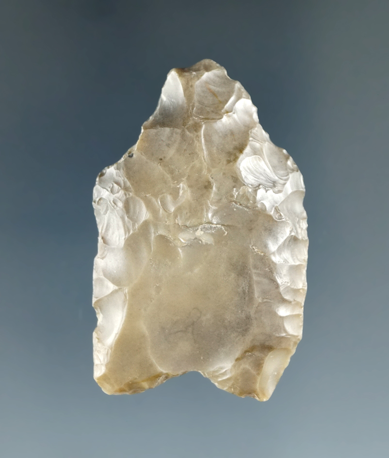 1 11/16" Paleo Fluted Clovis found in Montana with a unique anciently salvaged tip. Rogers COA.