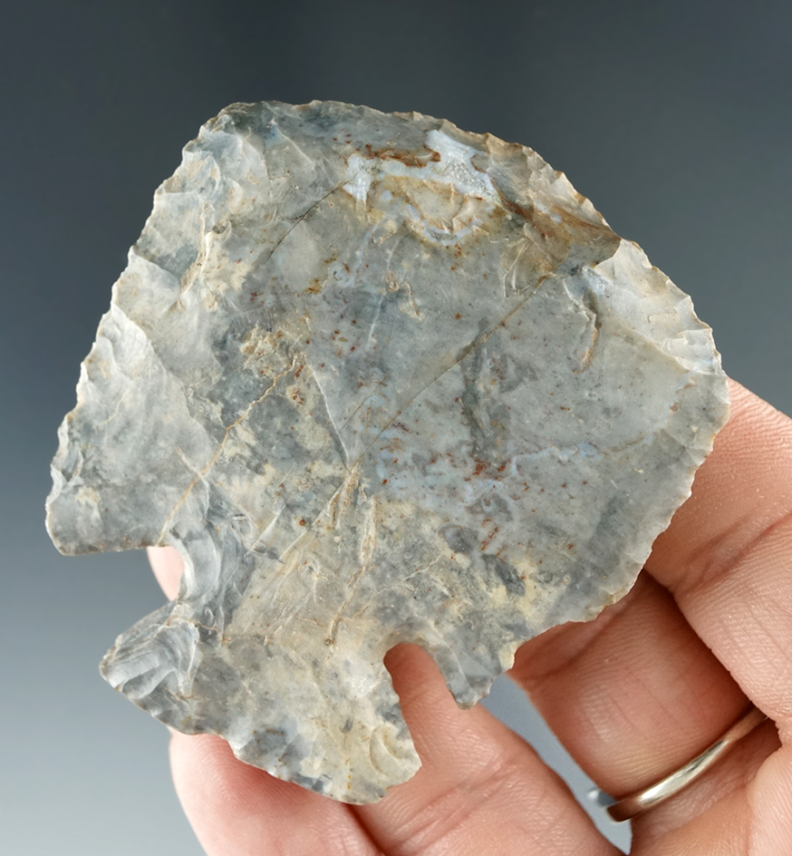 2 3/8" Large Coshocton Flint Notched Base Dovetail Hafted Scraper found in Fairfield Co. Ohio.