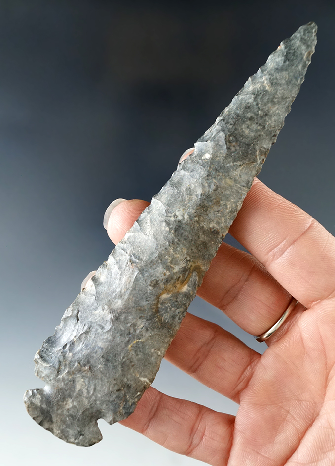 5 7/16" Dovetail found in Jay Co. Indiana with nicely beveled edges.