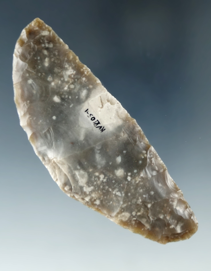 3 11/16" Danish Sickle Blade Knife found in Denmark.