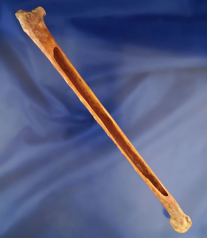 9 1/16" wild turkey bone Beamer with red ochre stain found in Union County Kentucky.pictured