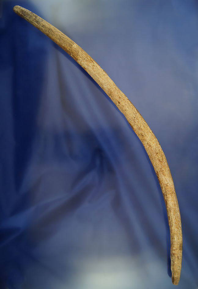 Rare! 13" bone Bow Drill found in California pictured on page 259 in Hothem's Antler Bone and Shell