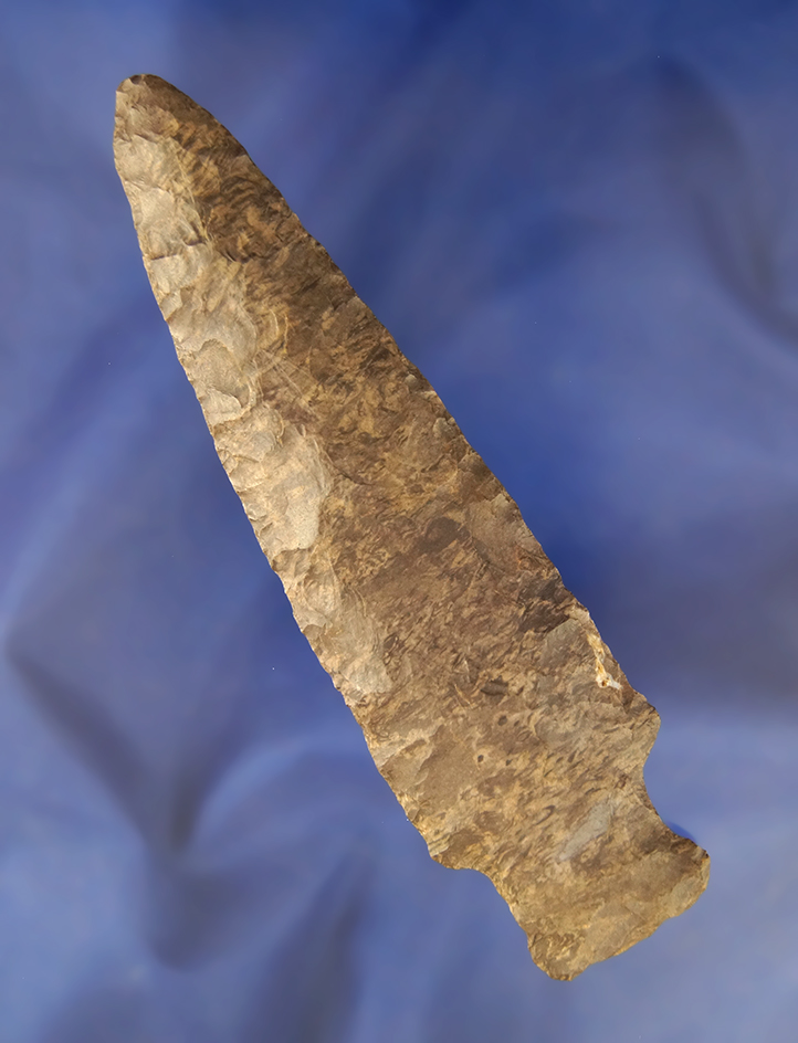 Large! 5 3/8" Dover Flint Pickwick found in Hardin Co., Tennessee.  Ex.  Gary Noel.  Dickey COA.