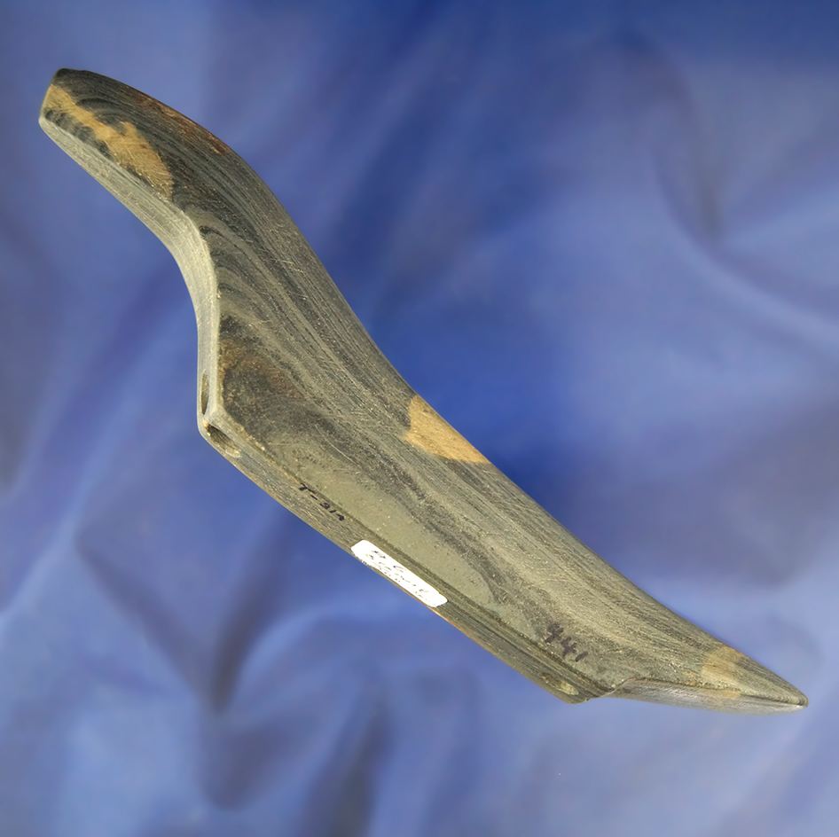 Sale Highlight! 5 5/16" Birdstone found in Niagara Falls, New York.  Jackson and Dickey COA's.