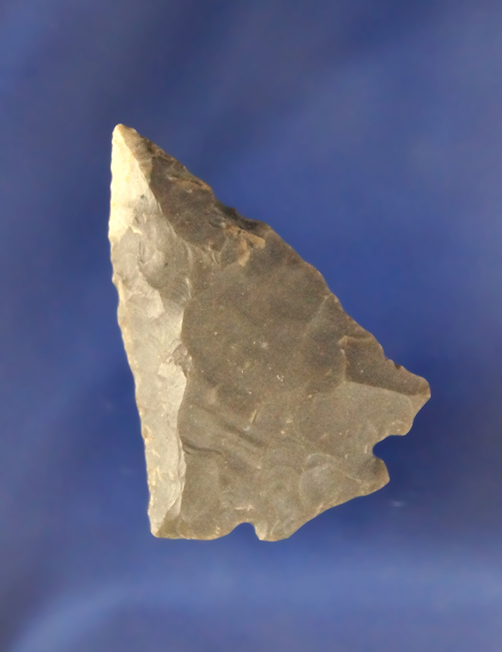 2 1/16" Decatur Fractured Base with nice clipped wings found in Knox Co., Indiana by Bill Rourk.