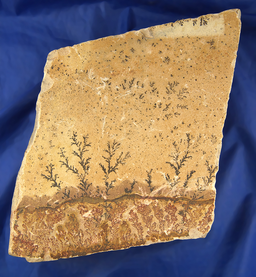 Large 7" by 8" section of Fern Dendrites found in Beaver  County Utah. Beautiful display item.