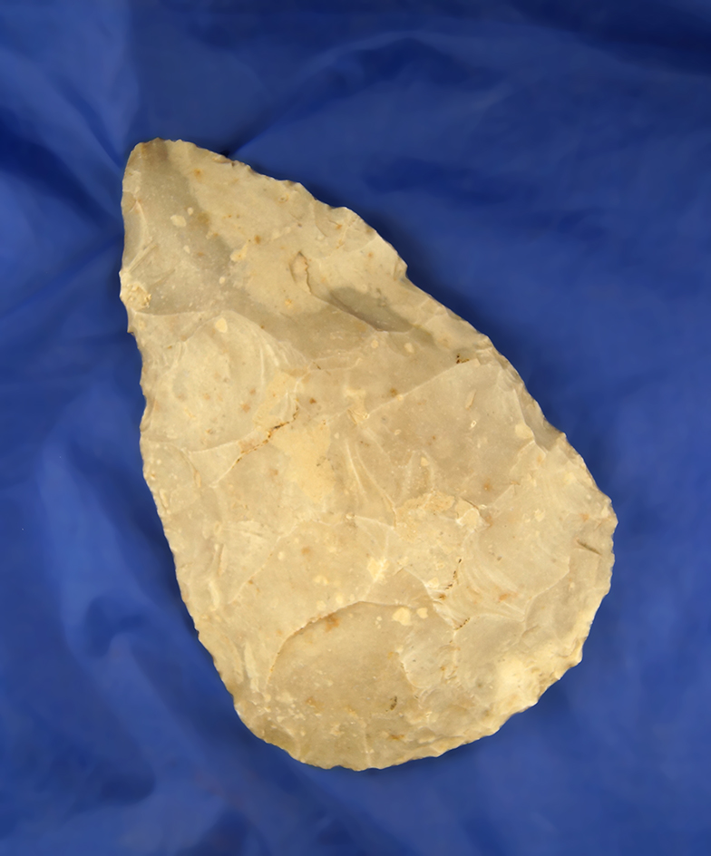 Large 8" Spade found in Texas.