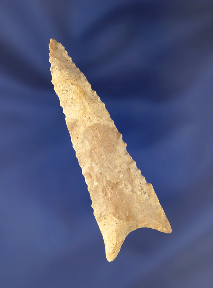 3" nicely beveled and well styled Dalton found in Illinois.