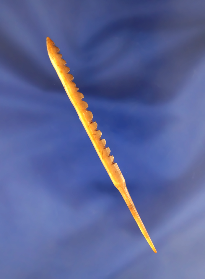 3 11/16" Bone Arrowhead found in Alaska. Pictured on page 69 in Hothem's Antler Bone and Shell