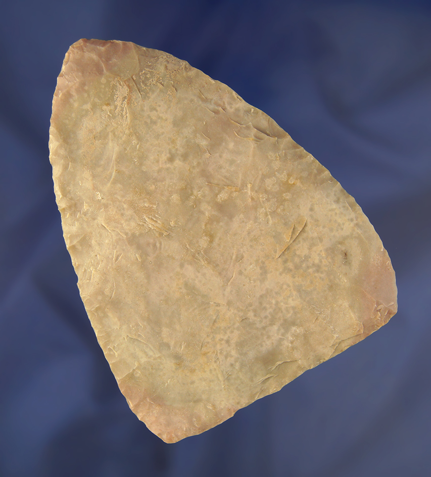 Thin and large 4 1/4" x 3 1/8" Blade found in Texas.   Ex. Charles Shewey Collection.