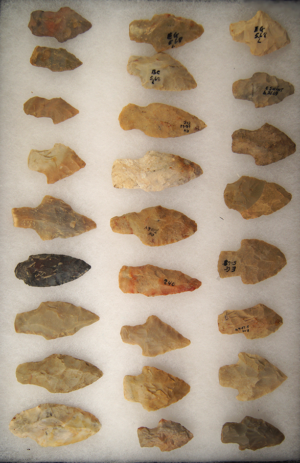 Large group of 26 Adena Arrowheads, largest is 2 3/8" found in Greenup Co., Kentucky.