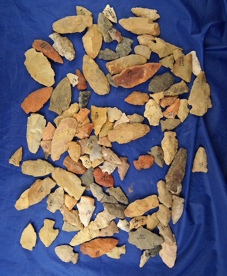Group of 100 field found Arrowheads, some are damaged  found in Greenup Co., Kentucky.