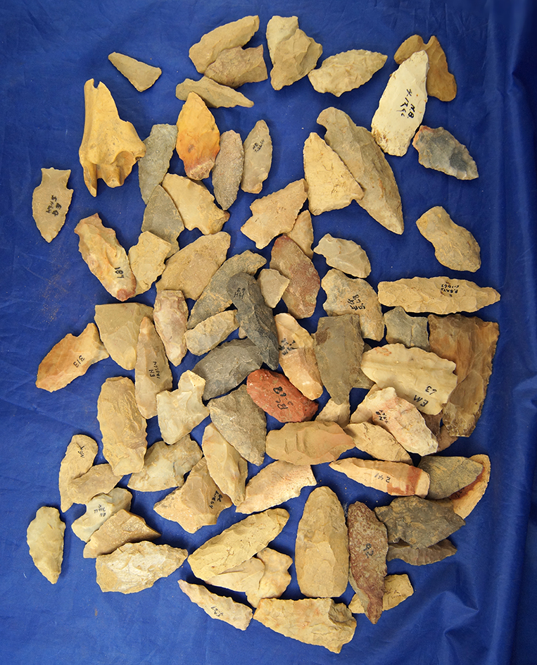 Group of 75 common and field grade Arrowheads, some damaged  found in Greenup Co., Kentucky.