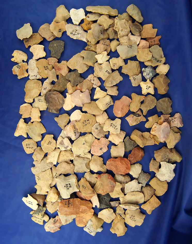 Large group of 150 assorted Hafted Scrapers found in Greenup Co., Kentucky.