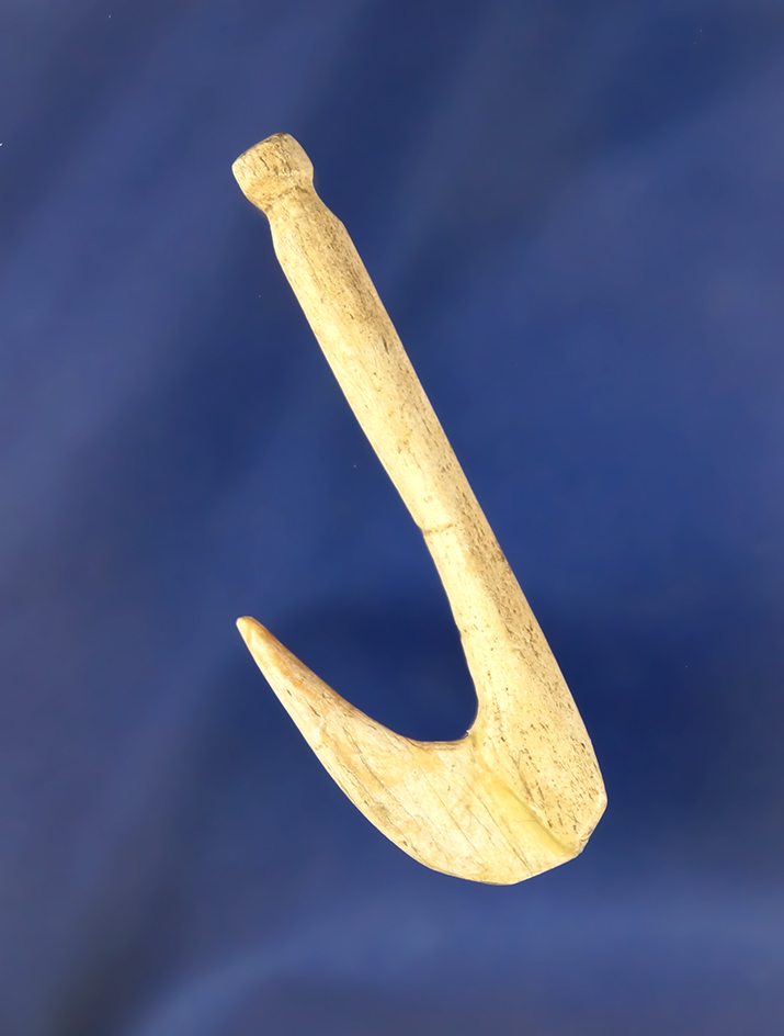 2 1/4" Bone Fish Hook  found in Greenup Co., Kentucky.