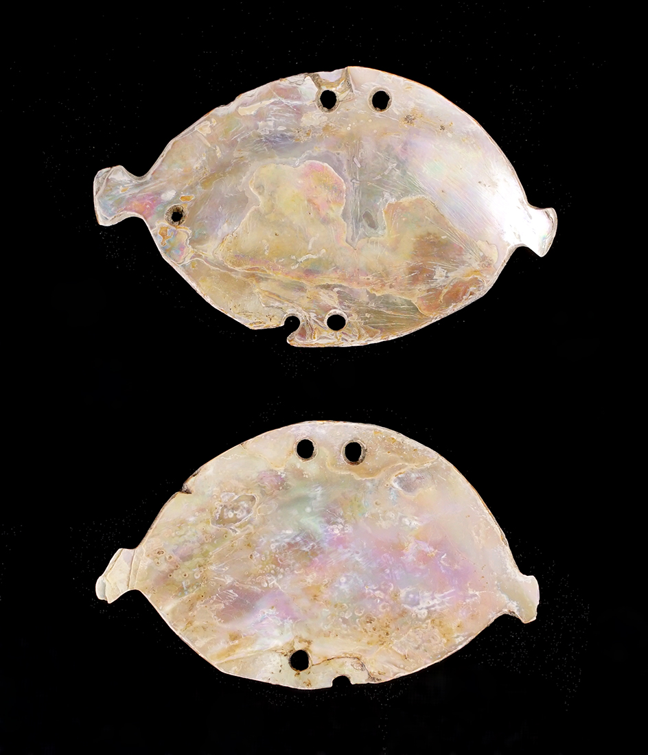 Nice Pair of Abalone Shell Gorgets found close to the Columbia River. The largest is 2 3/4".