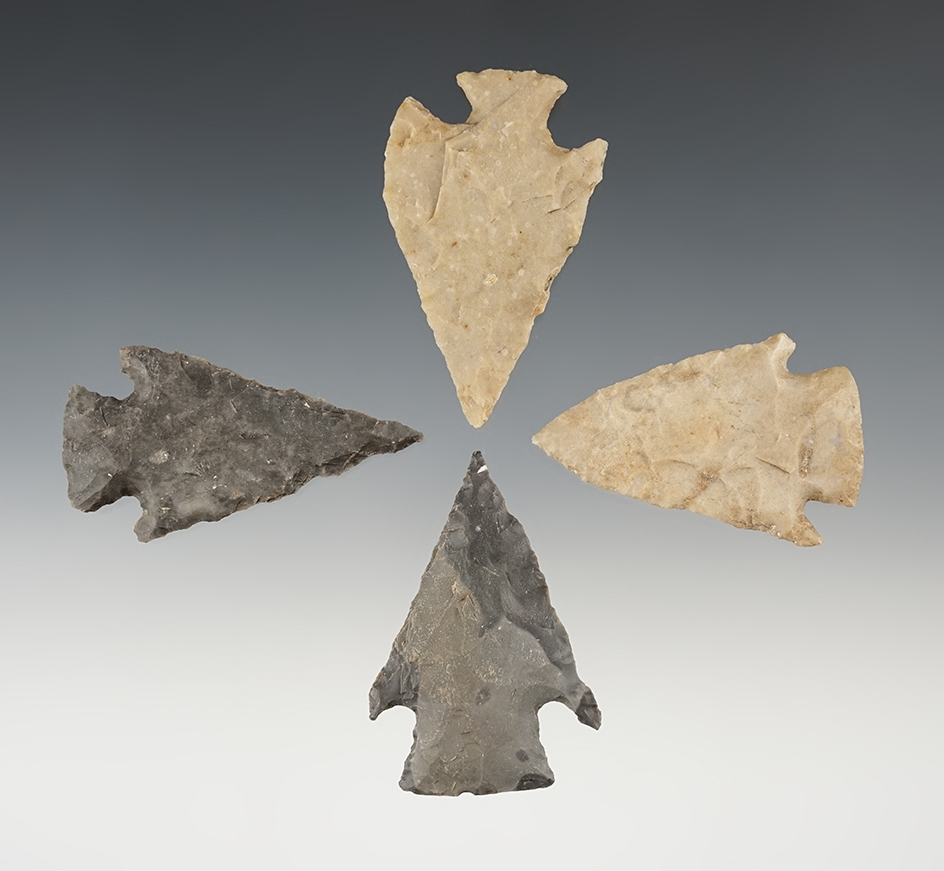 Set of four nicely made Texas points in good condition. Largest is 2 1/16".