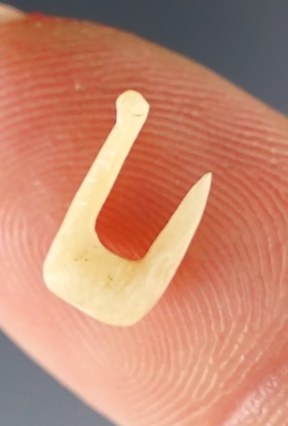 Rare! 3/8" miniature Bone Fishhook in excellent condition found in New York. 