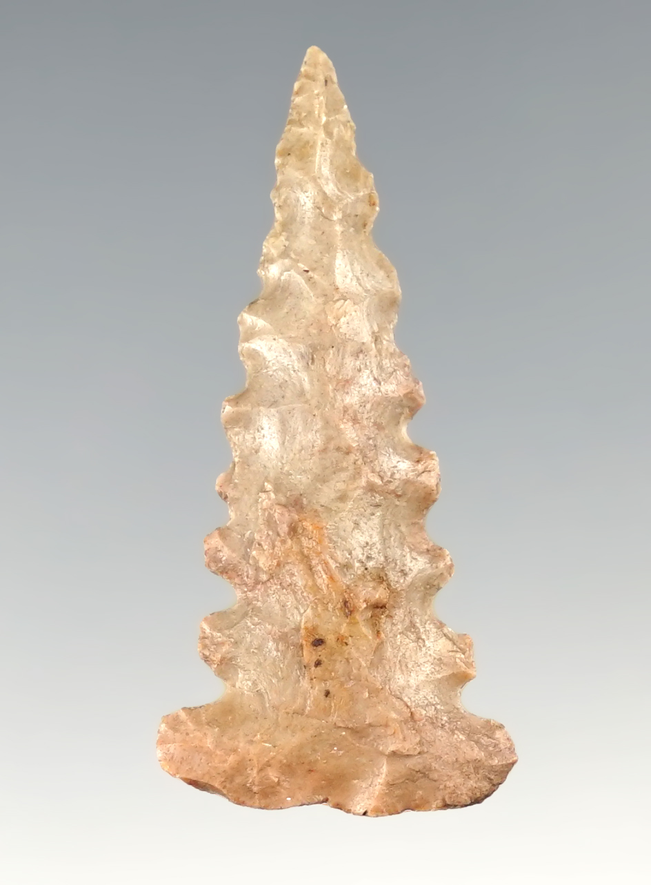 Rare, 1 1/2" Serrated Ft. Ancient Triangle found in the Kentucky/Tennessee area. 