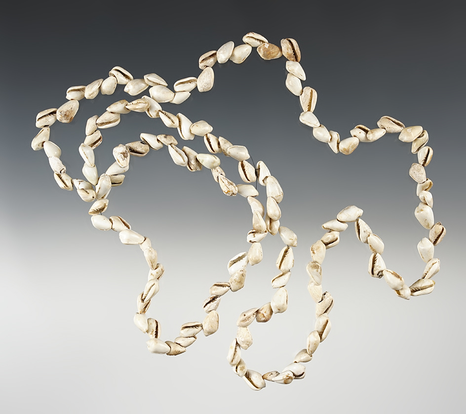 Large 34" long strand of drilled snail shell beads.