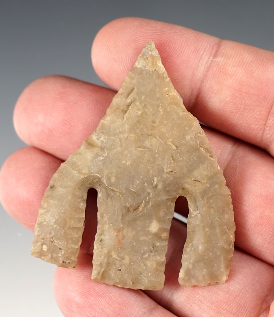 2 3/16" Andice - Bell Co., Texas. Professionally restored by Dr. Gomer. Rogers COA.