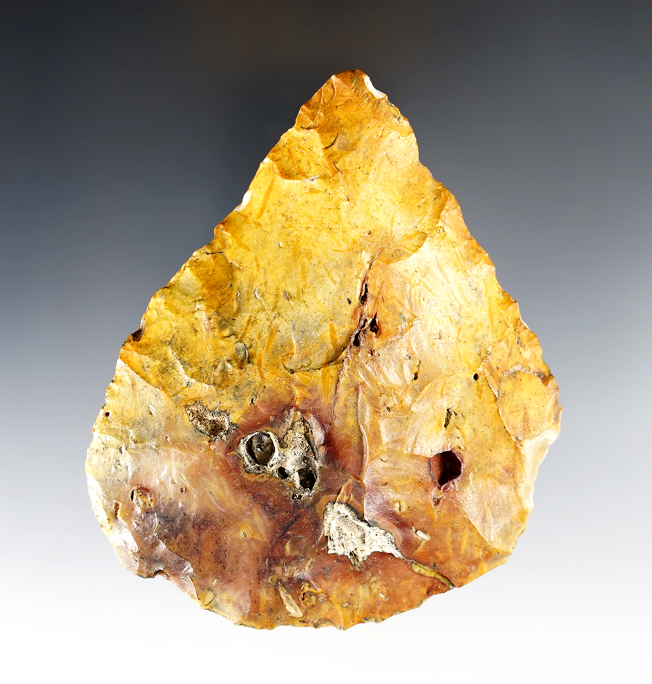 3 13/16" River patinated Paleo Blade - Alachua County Florida. Ex. Robert Bell, Len Weidner.