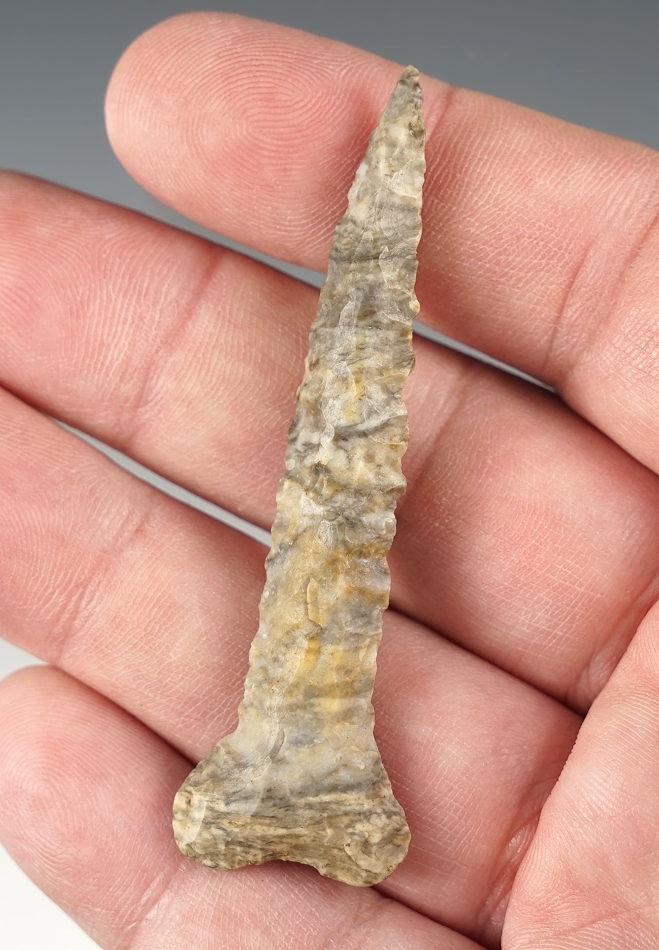 Fine 2 3/4" Drill found near Warsaw, Coshocton Co., Ohio by Don Beer. Striped Coshocton flint.