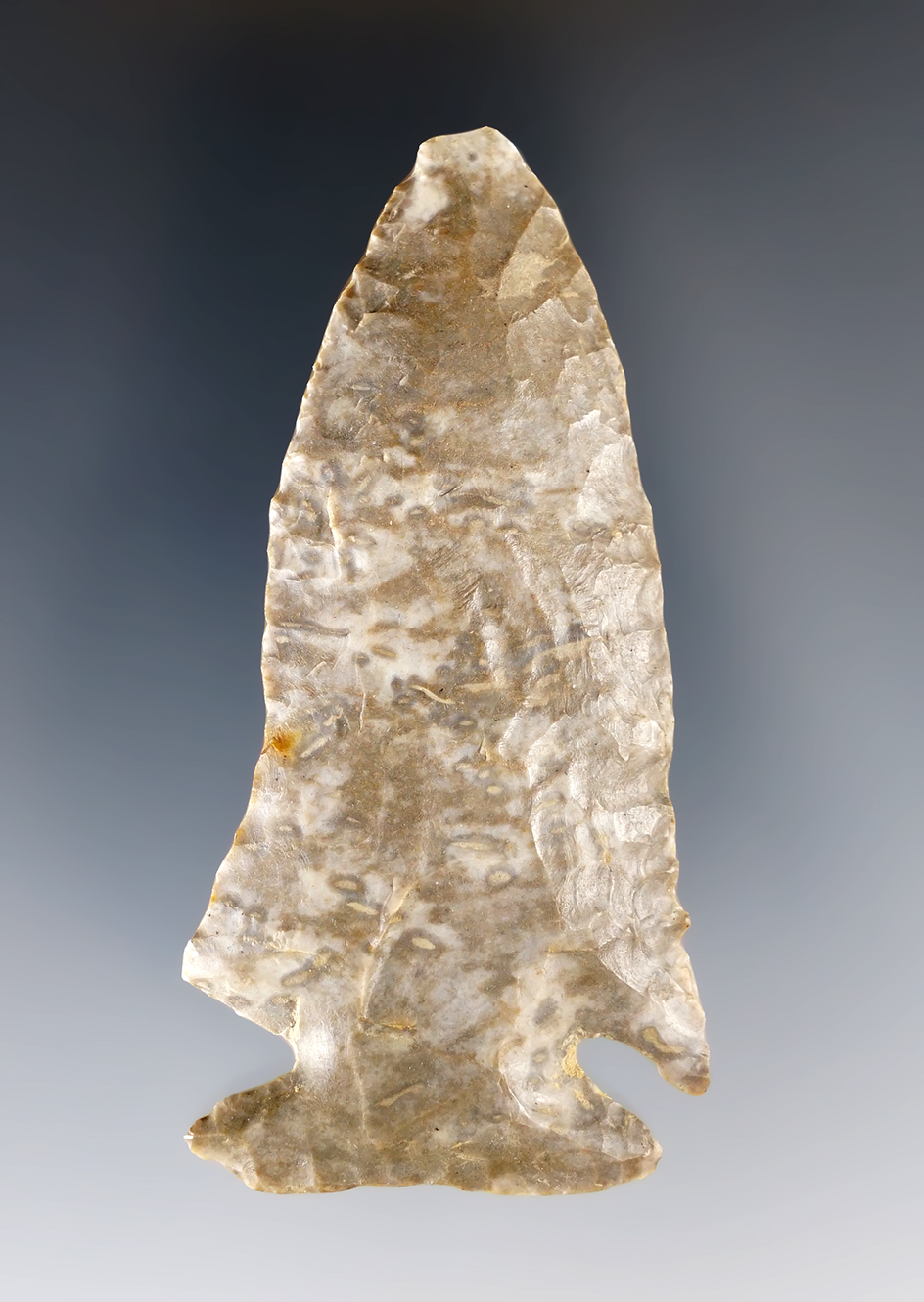 2 15/16" Archaic Cornernotch found in the Kentucky/Tennessee area. Ft. Payne chert.