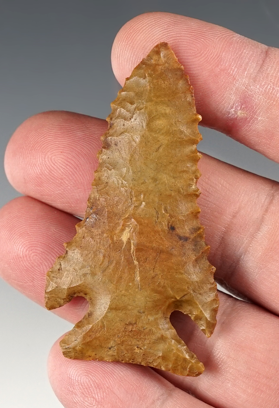 2 3/8" Classic Pinetree Point - Benton, Tennessee. Comes with a Dickey COA.