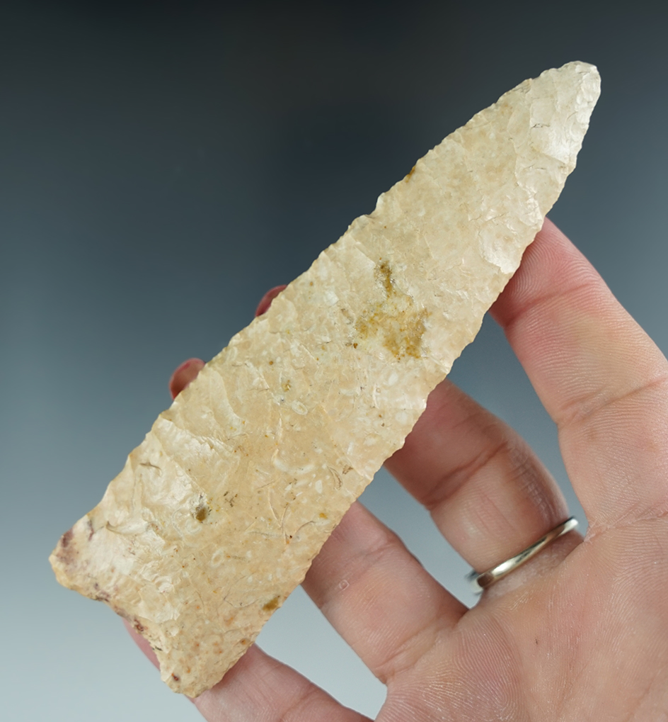 Rare style! 4 1/2" Paleo Allen made from Boone Chert, found in McIntosh Co., Oklahoma. COA's.