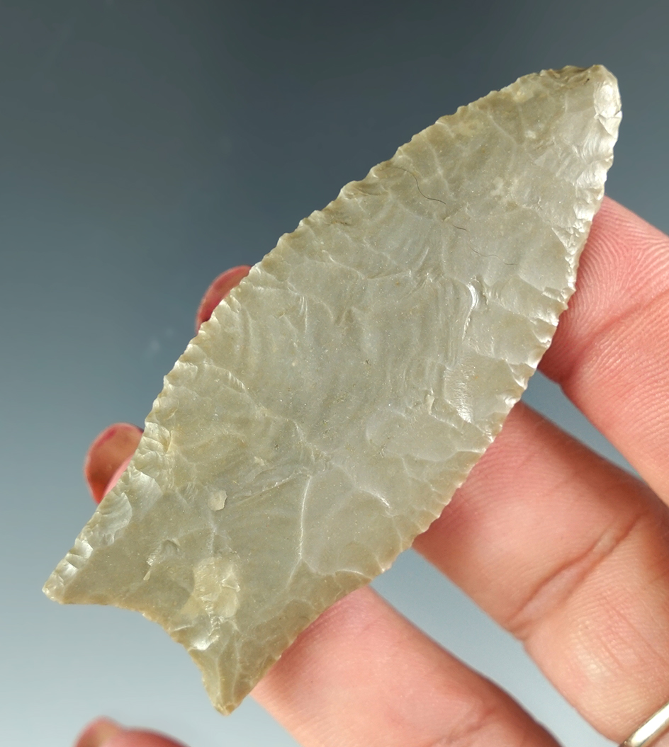 2 13/16" Paleo Kersey found by Jerry Chubbuck in Cheyenne Co., Colorado. Dickey COA.