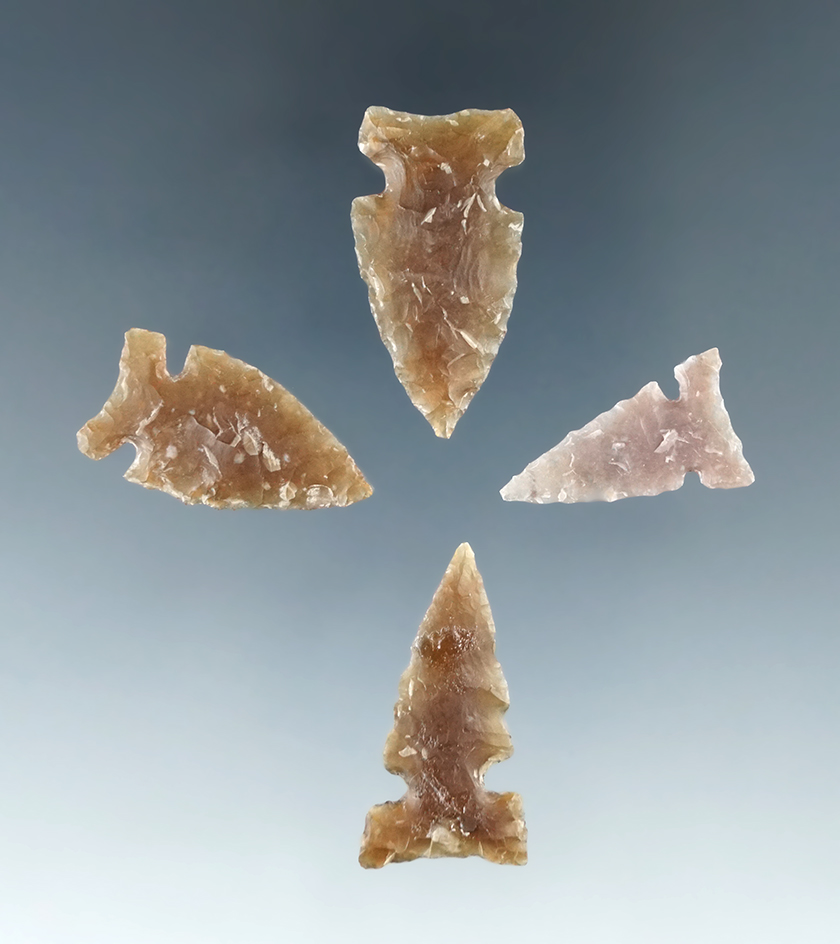 Set of four nicely flaked arrowheads found in the Dakotas, largest is 1 3/16".
