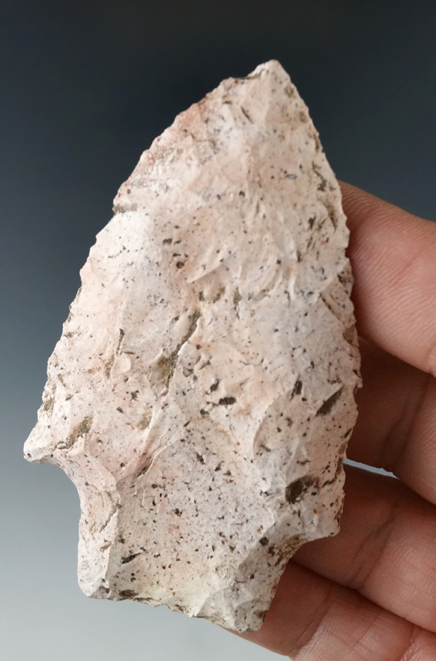 Heavily patinated 3" Hamilton found at the Magnolia site in Levy Co., Florida.