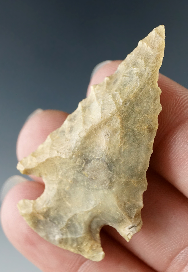 1 15/16" corner notched Bolen found in Marion Co., Florida that is very nicely patinated.