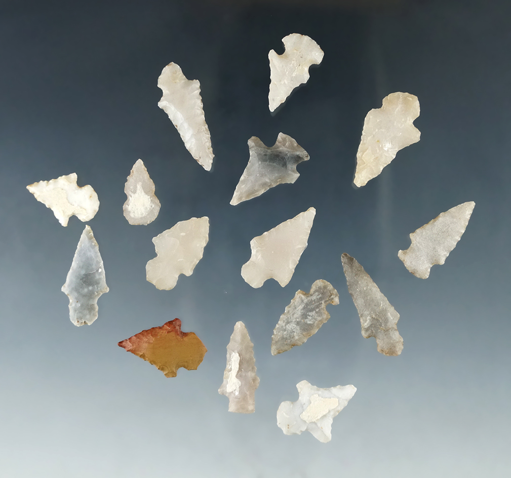 15 bird points which were glued to a board, found along the Red and little Missouri rivers.